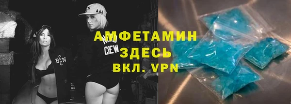 шишки Арсеньев