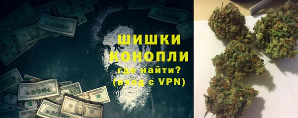 шишки Арсеньев