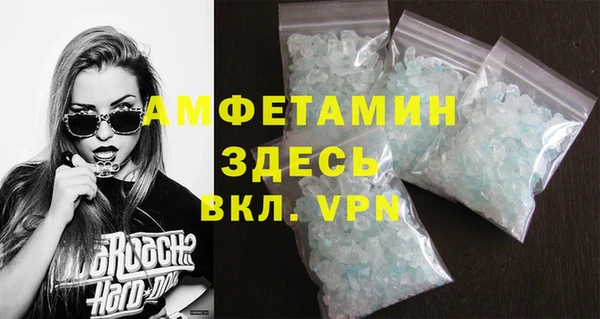 шишки Арсеньев