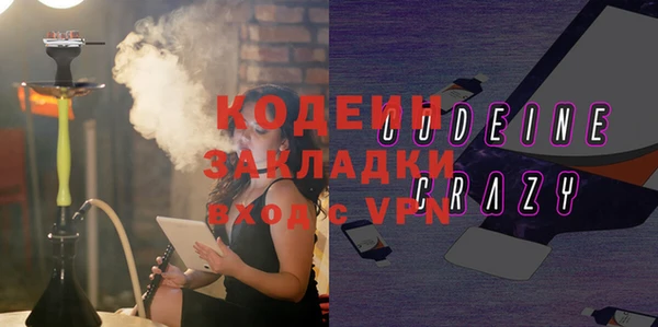 шишки Арсеньев